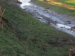 Няма наводнени земеделски земи в Бургаска област