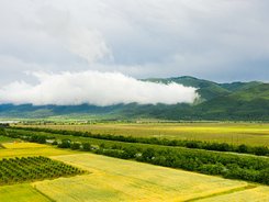 МЗХ публикува за обществено обсъждане изменение в нормативната уредба за интервенциите в областта на агроекологията