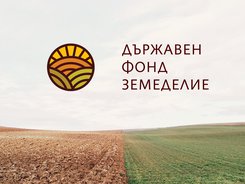 Изплатени са над 32 млн. лв. на производителите на протеинови култури за Кампания 2020