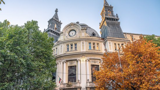 Министерството на земеделието започва традиционната продажба на живи елхи