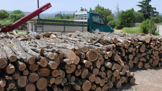 Близо 17 000 проверки извършиха горски инспектори от държавните горски предприятия