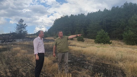 Заместник-министър Чамбов: Държавните горски територии, засегнати от пожара при с. Елшица, ще бъдат възстановени