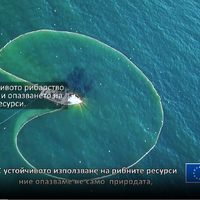 Програма за морско дело, рибарство и аквакултури.