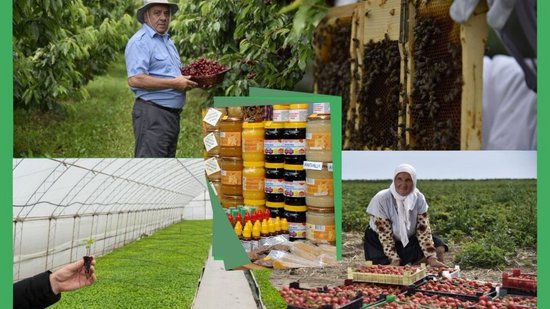 МЗХ публикува за обществено обсъждане изменение в интервенциите „Биологично растениевъдство“ и Биологично пчеларство“ 