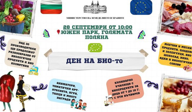 WhatsApp Image 2024-09-20 at 14.31.51.jpeg
