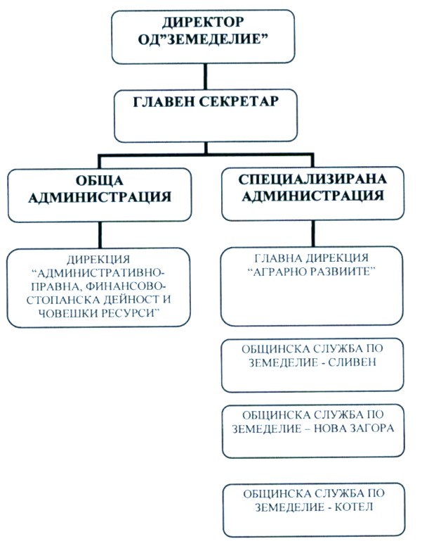 organograma ODZ